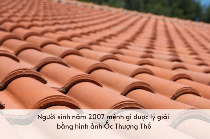 Ý nghĩa nạp âm Ốc Thượng Thổ của người Đinh Hợi là mệnh gì