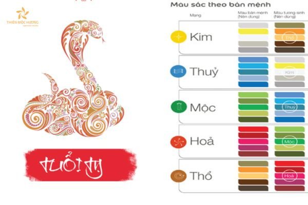 Ý nghĩa sâu sắc của các màu hợp với tuổi Quý Tỵ 1953 trong phong thủy.
