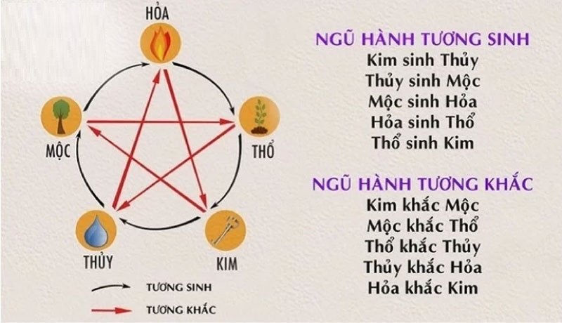 Các con giáp hợp mệnh với tuổi Nhâm Tý 2032 trong quan hệ Tam hợp và Lục hợp