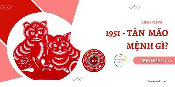 Hình ảnh người tuổi Tân Mão 1951 tìm hiểu về bản tân mão mệnh gì trong phong thủy