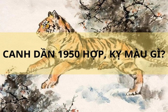 Màu sắc hợp và không hợp với tuổi Canh Dần 1950