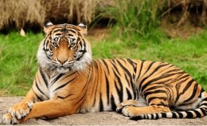 Màu sắc phù hợp với nữ 2010 mệnh gì để tăng cường may mắn