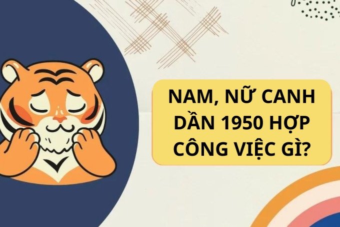 Nghề nghiệp phù hợp với tuổi Canh Dần 1950