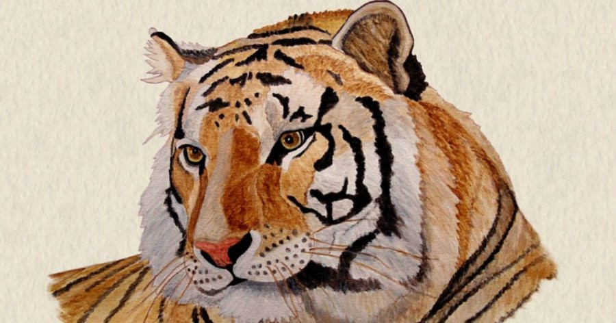 Những tuổi hợp trong hôn nhân và công việc với 1962 thuộc mệnh gì