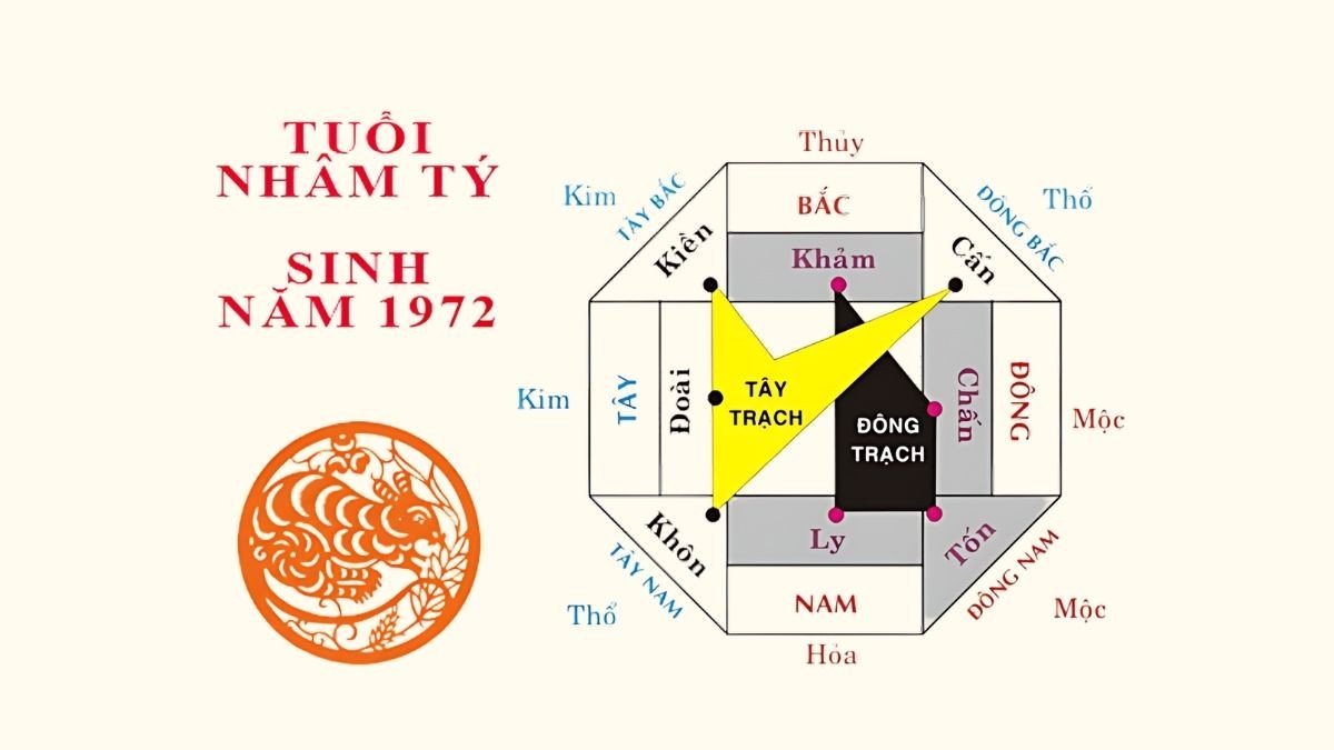 Sinh năm Nhâm Tý 1972 hợp hướng Đông Nam, Đông, Nam, Bắc (nam mạng) và Tây Nam, Tây, Tây Bắc, Đông Bắc (nữ mạng)