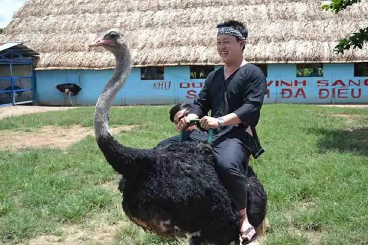 Gợi Ý Kết Hợp Tham Quan Các Điểm Du Lịch Lân Cận