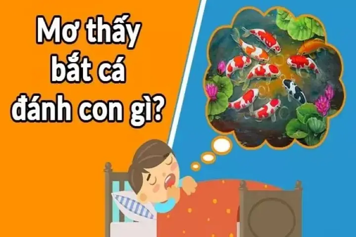 Mơ Bắt Cá Đánh Số Gì?