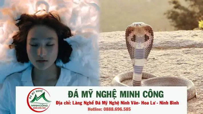 Phân Tích Chi Tiết Giấc Mơ Bắt Được 3 Con Rắn