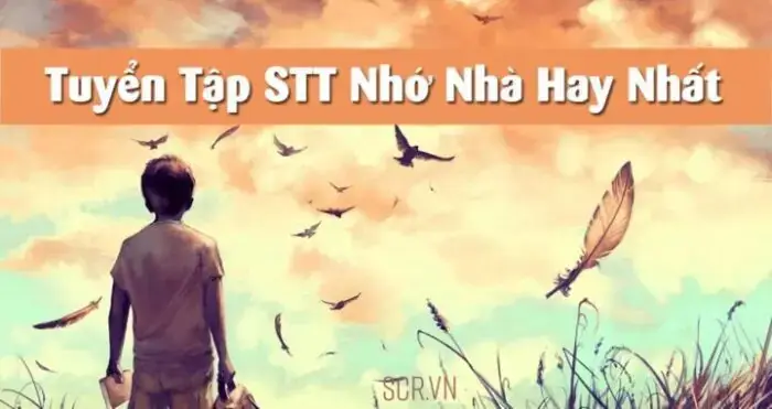 Khả Năng Phục Hồi Và Thích Nghi