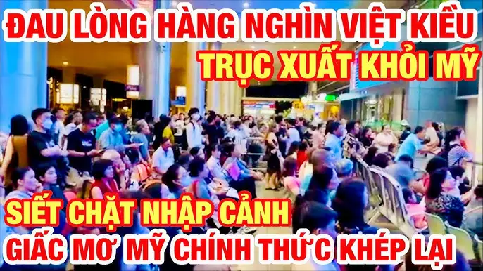 Giấc Mơ Bị Công An Phạt Tiền: Góc Nhìn Tổng Quan Về Ý Nghĩa