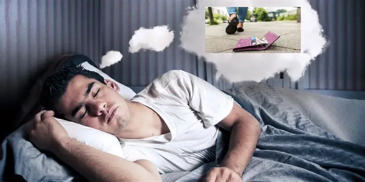 Giải Mã Giấc Mơ Cầm Nhiều Tiền Cho Vào Balo: Điềm Báo Gì?