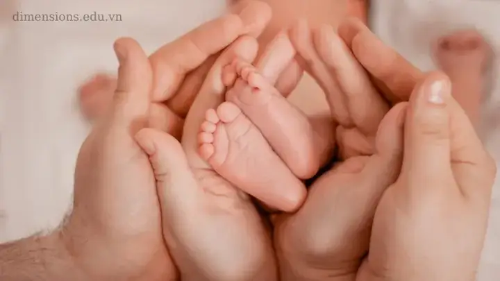 Nguyên Nhân Nằm Mơ Đẻ Con