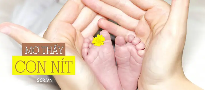 Mơ Đi Ỉa Ra Giun Đánh Đề Con Gì