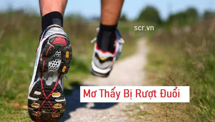 Mơ Đi Vệ Sinh Đánh Con Gì