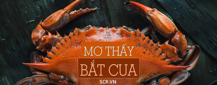 Giải Mã Giấc Mơ Thấy Ỉa