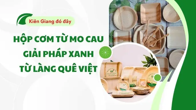 Phản Ánh Tâm Trạng Và Áp Lực