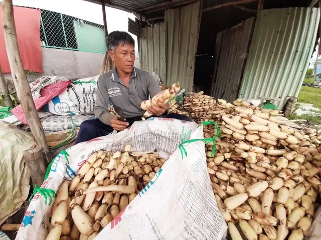 Giải Mã Giấc Mơ Lô Đề Tập 2: Những Bí Ẩn Đằng Sau Từng Con Số