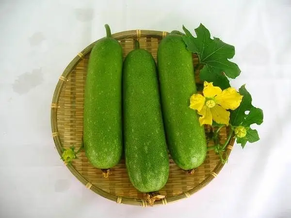 Giải Mã Giấc Mơ Thấy Dưa Chuột: Điềm Báo Tốt Hay Xấu Và Con Số May Mắn