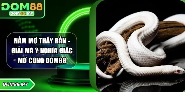 Giải Mã Giấc Mơ Nằm Thấy Nước: Điềm Báo Gì Và Nên Làm Gì?