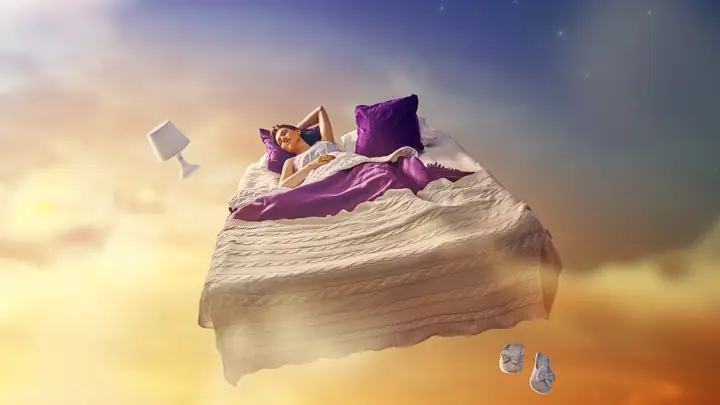 Sigmund Freud Dream Theory
