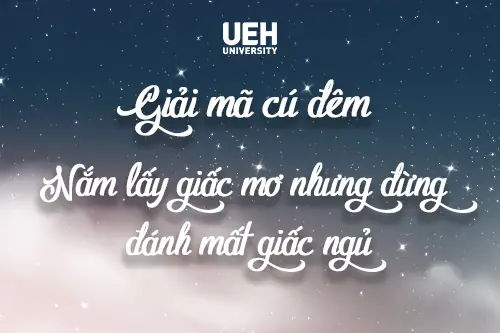 Giải Mã Cú Đêm: Nắm Lấy Giấc Mơ Nhưng Đừng Đánh Mất Giấc Ngủ