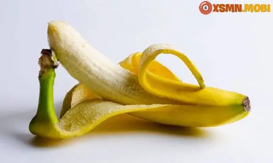 - Mơ Thấy Bụi Chuối