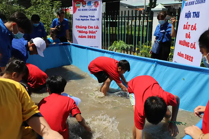 Mơ Thấy Bắt Cá Trên Cạn