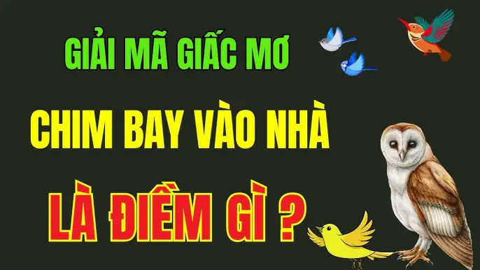 Giải Mã Giấc Mơ Thấy Chim Con: Điềm Báo Gì Và Nên Làm Gì?