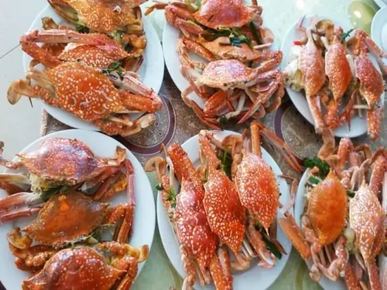 Nằm Mơ Thấy Con Ghẹ Bị Gãy Càng