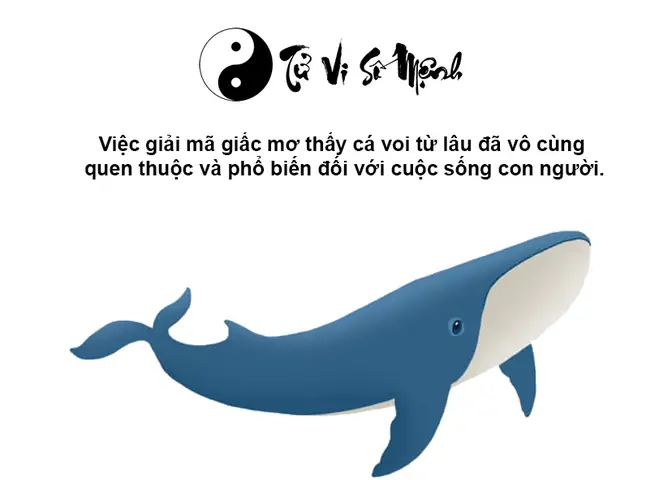 Kết Luận Kết Luận