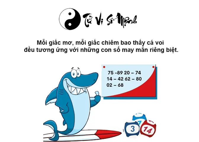 Mơ Thấy Cá Voi Ứng Với Con Số Nào? Mơ Thấy Cá Voi Ứng Với Con Số Nào?