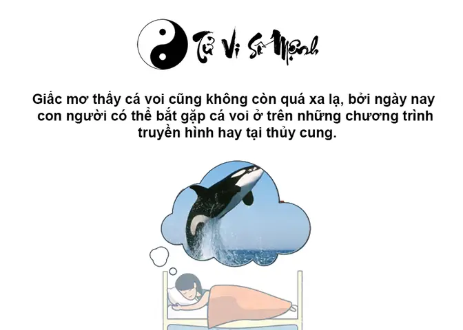 Ý Nghĩa Giấc Mơ Thấy Cá Voi Ý Nghĩa Giấc Mơ Thấy Cá Voi