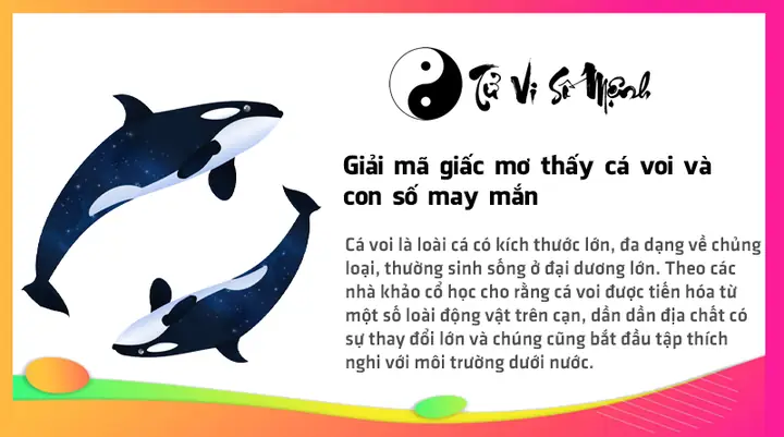 Giải Mã Giấc Mơ Thấy Cá Voi Và Con Số May Mắn Giải Mã Giấc Mơ Thấy Cá Voi Và Con Số May Mắn