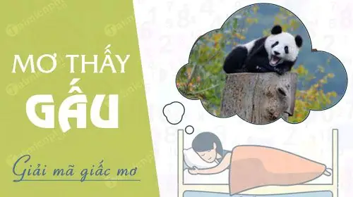Nằm Mơ Thấy Gấu