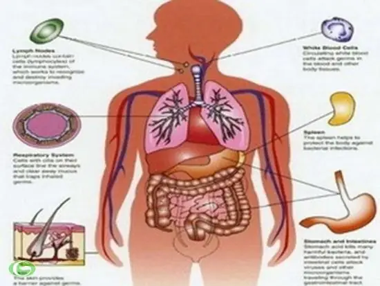 Mơ Thấy Nội Tạng: Gặp Bất Hạnh Hoặc Bị Đả Kích Nghiêm Trọng –