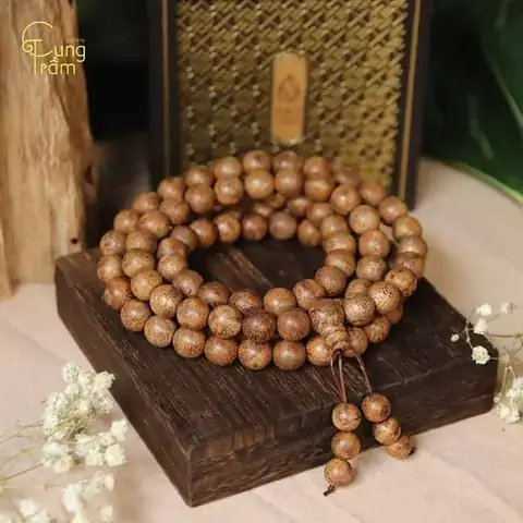 Các Yếu Tố Sinh Học