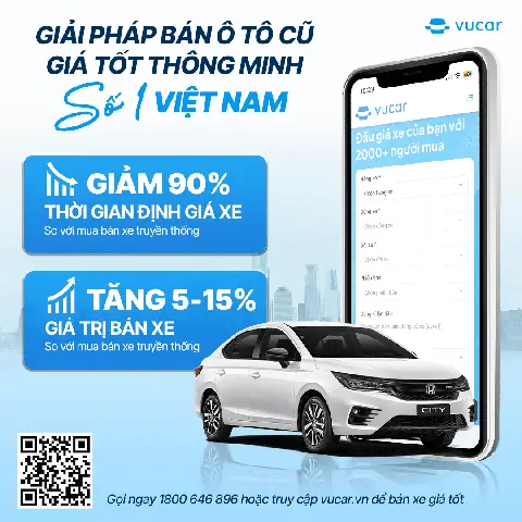 Mơ Thấy Mèo Đánh Con Gì? Giải Mã Giấc Mơ Thấy Mèo