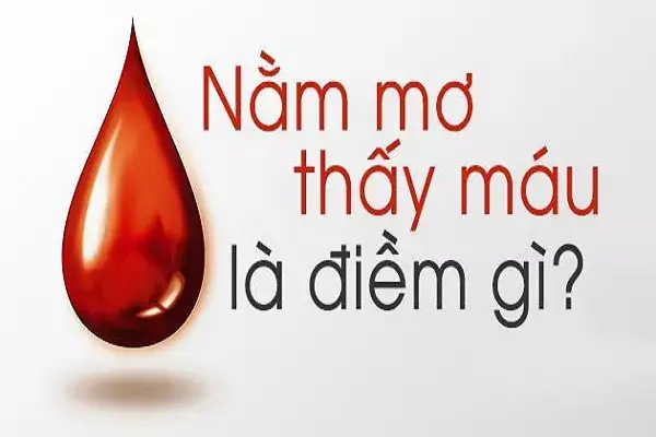 Mæ¡ Tháº¥y Mã¡u Lã Äiá»m Lã Nh Hay Dá»¯, Cáº§n Lã M Gã¬ Äá» Trã¡nh Rá»§i Ro?-1