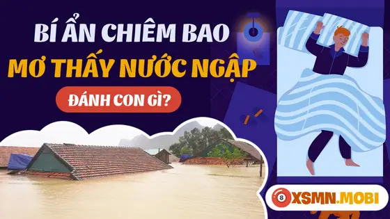Một Số Giấc Chiêm Bao Thấy Ngập Nước Khác