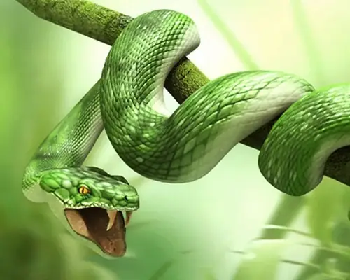 Giải Mã Giấc Mơ Thấy Nước Tiểu
