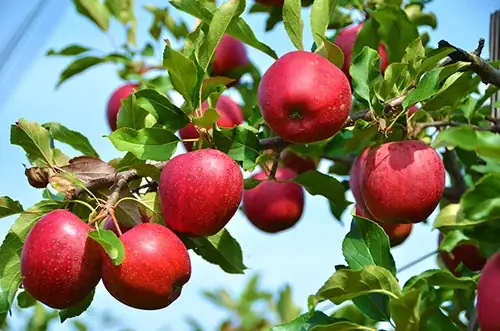 Giải Mã Giấc Mơ Thấy Nước Tiểu