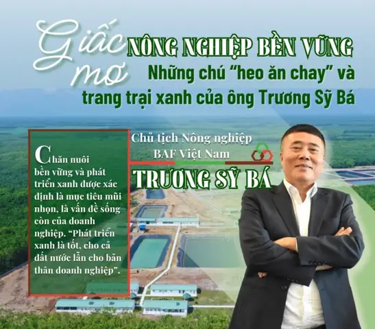 Phân Lợn Trong Giấc Mơ: Điềm Báo Tài Lộc Và Sự Thịnh Vượng