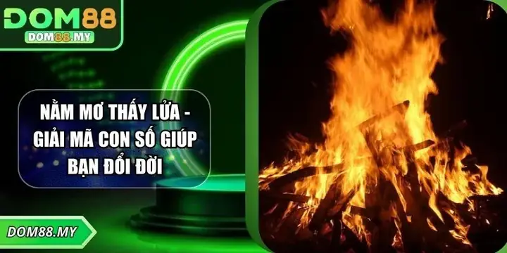 Giải Mã Giấc Mơ Thấy Pháo Hoa: Điềm Báo & Con Số May Mắn Chuẩn Xác
