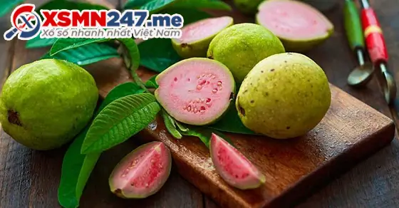 - Ý Nghĩa Giấc Mơ Được Cho Quả Ổi - Ý Nghĩa Giấc Mơ Được Cho Quả Ổi