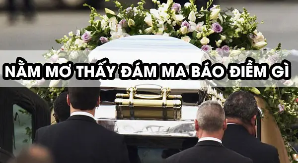 Giải Mã Giấc Mơ Thấy Quan Tài Người Chết: Luận Giải Chi Tiết