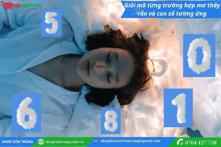 Giải Mã Từng Trường Hợp Mơ Thấy Rắn Và Con Số Tương Ứng