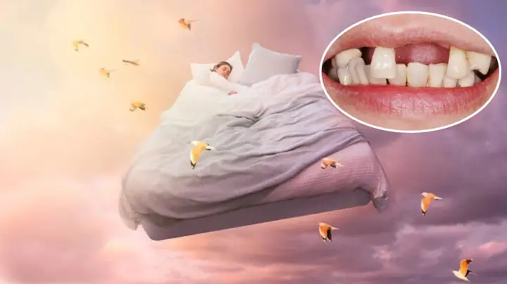 Giải Mã Giấc Mơ Thấy Rung Rang: Ý Nghĩa, Điềm Báo Và Con Số May Mắn
