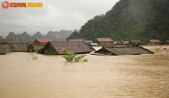 Các Trường Hợp Cụ Thể Và Ý Nghĩa