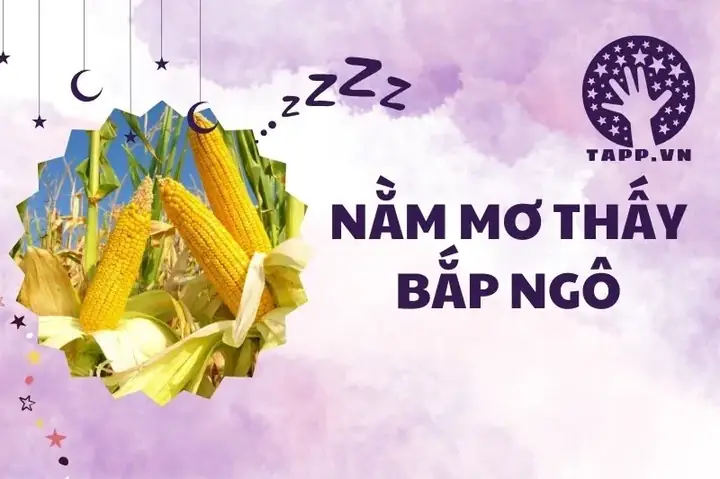 Giải Mã Giấc Mơ Thấy Thu Hoạch Ngô: Điềm Báo Thành Công Và Thịnh Vượng