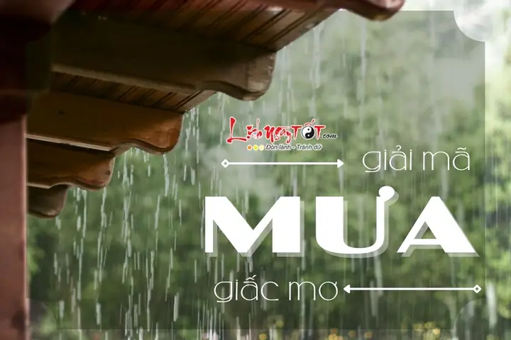 Mo Thay Mua